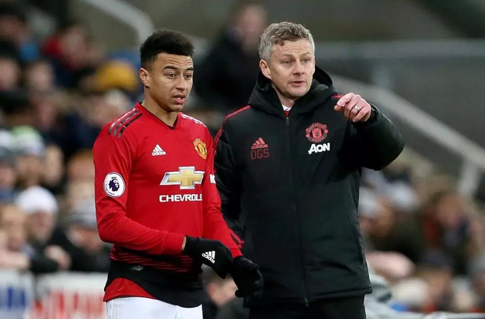 乓球专业技 乓球专业技