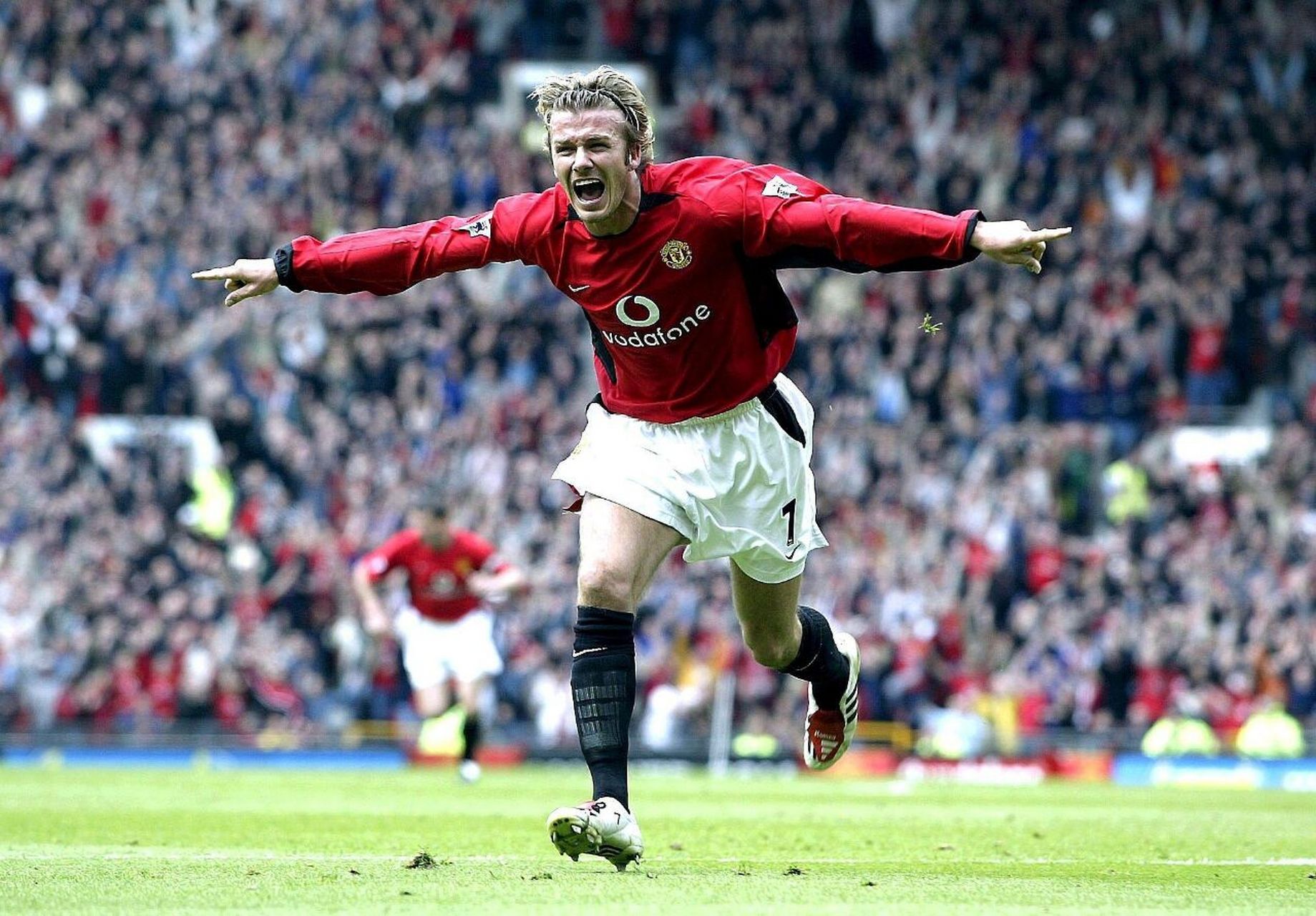 不仅保证了 不仅保证了