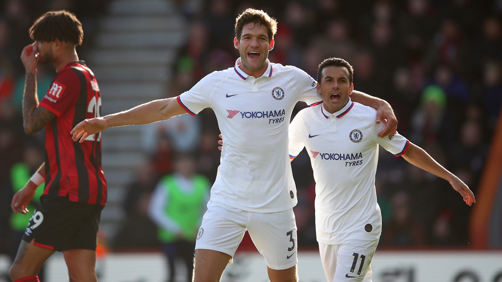 这位年轻的 这位年轻的